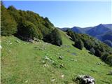 Kapelica sv. Ane - Planina Nizki vrh