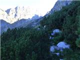 Bavšica - Šmihelovec