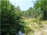 Soča - Vrh Ruš
