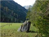 Leobner Mauer (1870 m) Raste na skali.