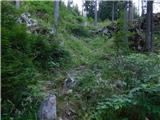 Raduha (Struge) - Cirkovnica