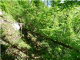 Planina Polog - Žlejžn