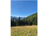 Jenkova planina i Storžič