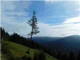 Parkirišče Hoyer (Neuhofgraben) - Speikkogel (Glinska planina / Gleinalpe)