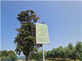 Crveni Vrh - Sveti Petar (nad Crvenim Vrhom)