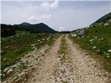 Drežniške Ravne - Planina Zapleč