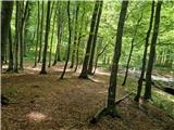 Dragonoš (Krpesovka) - Planinski dom Žitnica 