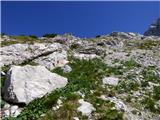 Bavšica - Zagorelec