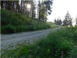 Raduha (Struge) - Cirkovnica