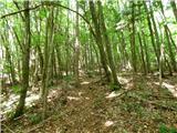 Jesenovo - Črni vrh (Čemšeniška planina)