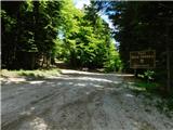 Pivola (Botanični vrt Univerze v Mariboru) - Pivola (Botanični vrt Univerze v Mariboru)