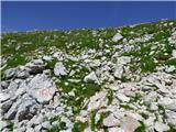 Planina Zapleč - Krn