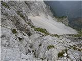 Zadnja Trenta (Flori) - Bavški Grintavec