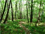 Planina Polog - Žlejžn