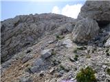 Bavšica - Bavški Grintavec