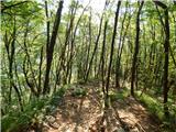 Hotel Boka - Planina Baban