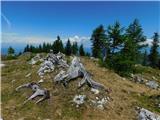 Feuersberger Spitze (Peca / Petzen)