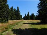 Boharina - Rogla