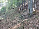 Log - Črni vrh
