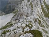Zadnja Trenta (Flori) - Bavški Grintavec