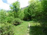 Planina Polog - Izvir Tolminke