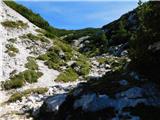Lučka Bela (Za Loncem) - Deska (Veža)