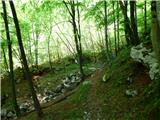 Planina Polog - Žlejžn