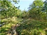 Hotel Boka - Planina Baban