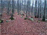 Poklon - Krog (Učka)