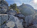 Babino Polje  - Veliki grad (otok Mljet)