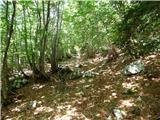 Soča - Vrh Ruš