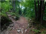 Slovenske Konjice (pokopališče) - Skala