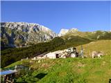 Planina Kot / Malga Coot
