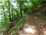 Drežniške Ravne - Curk Waterfall