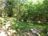 Hotel Boka - Planina Baban