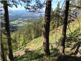 View back to the clearing with cairns