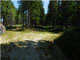 Alpl (Waldschulle Alpl) - Holta-Hütte (Rattner Alm)