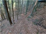Log - Črni vrh