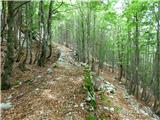 Kal-Koritnica - Lipnik (nad Lepeno)