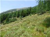 Soča - Vrh Ruš