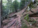 Lučka Bela (Za Loncem) - Kocbekov dom na Korošici