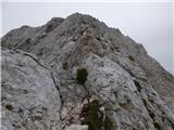 Zadnja Trenta (Flori) - Bavški Grintavec