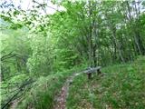 Planina Polog - Žlejžn