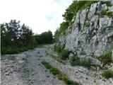 Bevški vrh - Veliki Modrasovec