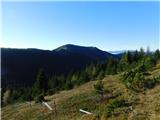 Parkirišče Hoyer (Neuhofgraben) - Lärchkogel (Glinska planina / Gleinalpe)