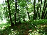 Jesenovo - Črni vrh (Čemšeniška planina)