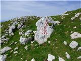 Planina Zapleč - Krn