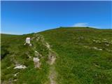 Oberfresen (Brendlwald) - Krakaberg (Golica / Koralpe)