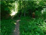 Čatež ob Savi - Sveti Vid (Šentviška gora)