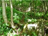 Jesenovo - Črni vrh (Čemšeniška planina)